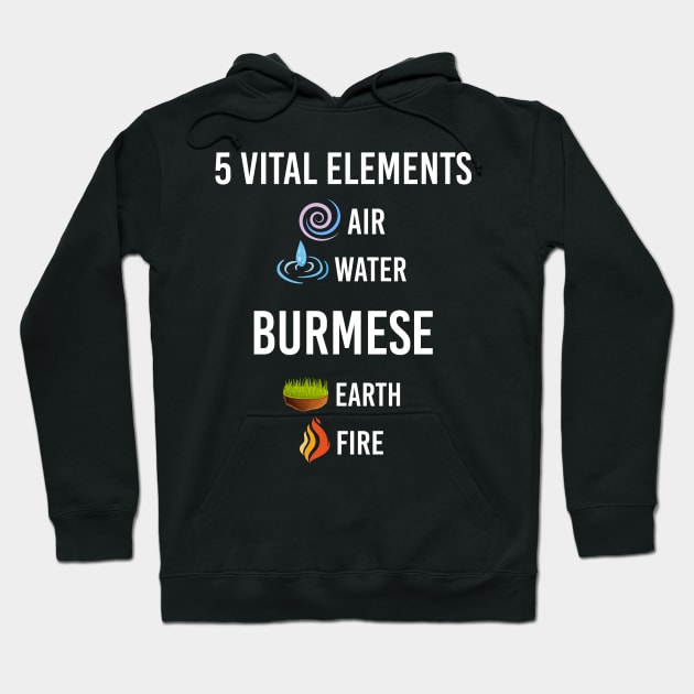 5 Elements Burmese Hoodie by symptomovertake